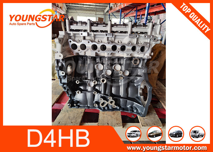 Motor mit langem Block für Hyundai Santa Fe 2.2 CRDI D4HB 2011-2018