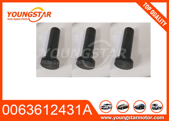 Ventil-Zapfen des Automotor-0063612431A für KIA J2 JS JT