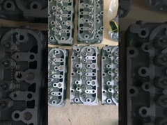 Zylinderkopf Roheisen Kubota D1105 Assy For Excavator