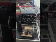 Motor mit langem Block für den Hyundai D4CB 2.5crdi BOSCH Typ Euro 4