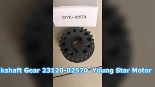 Hyundai Getz Kurbelwelle Kettenrad Riemenrad 23120-02570 YOUNG STAR MOTOR